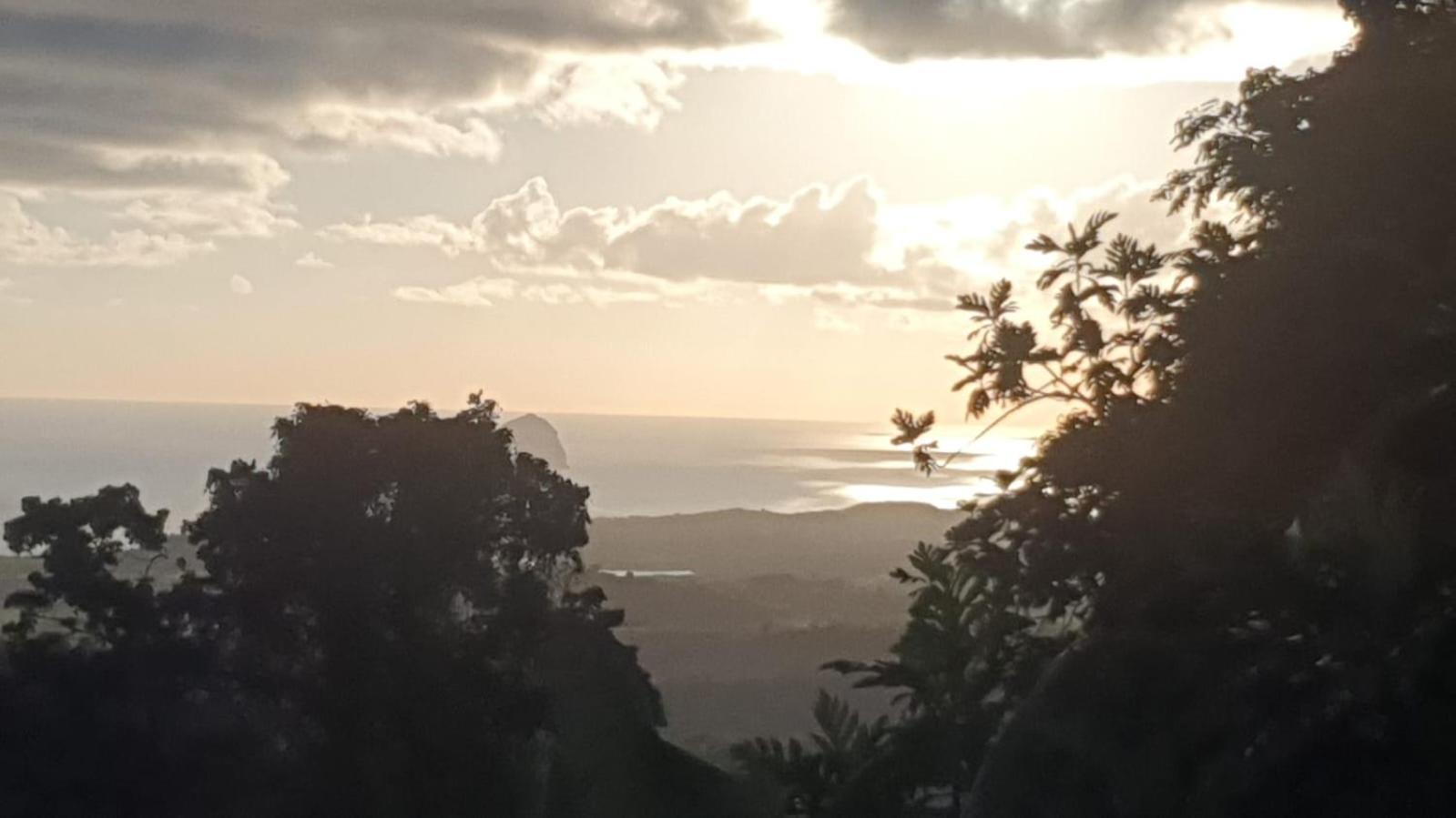 Villa Les Mahoganys Riviere-Salee Exteriör bild