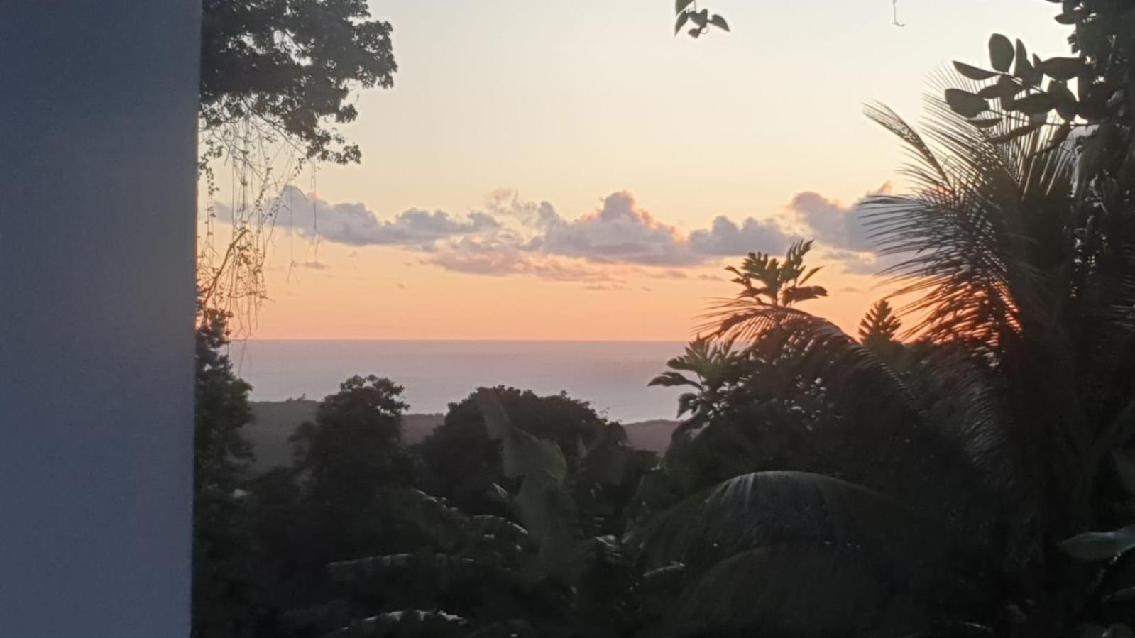 Villa Les Mahoganys Riviere-Salee Exteriör bild