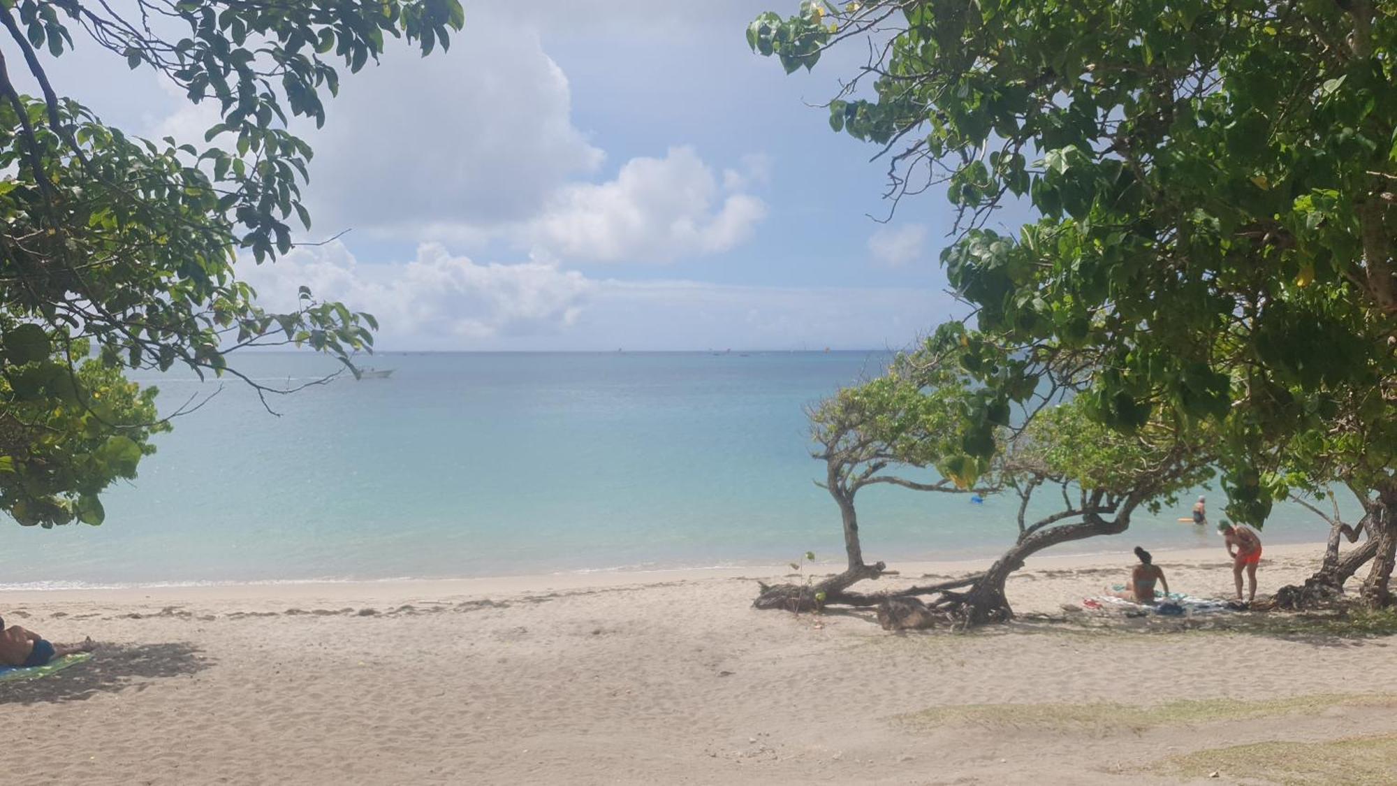 Villa Les Mahoganys Riviere-Salee Exteriör bild