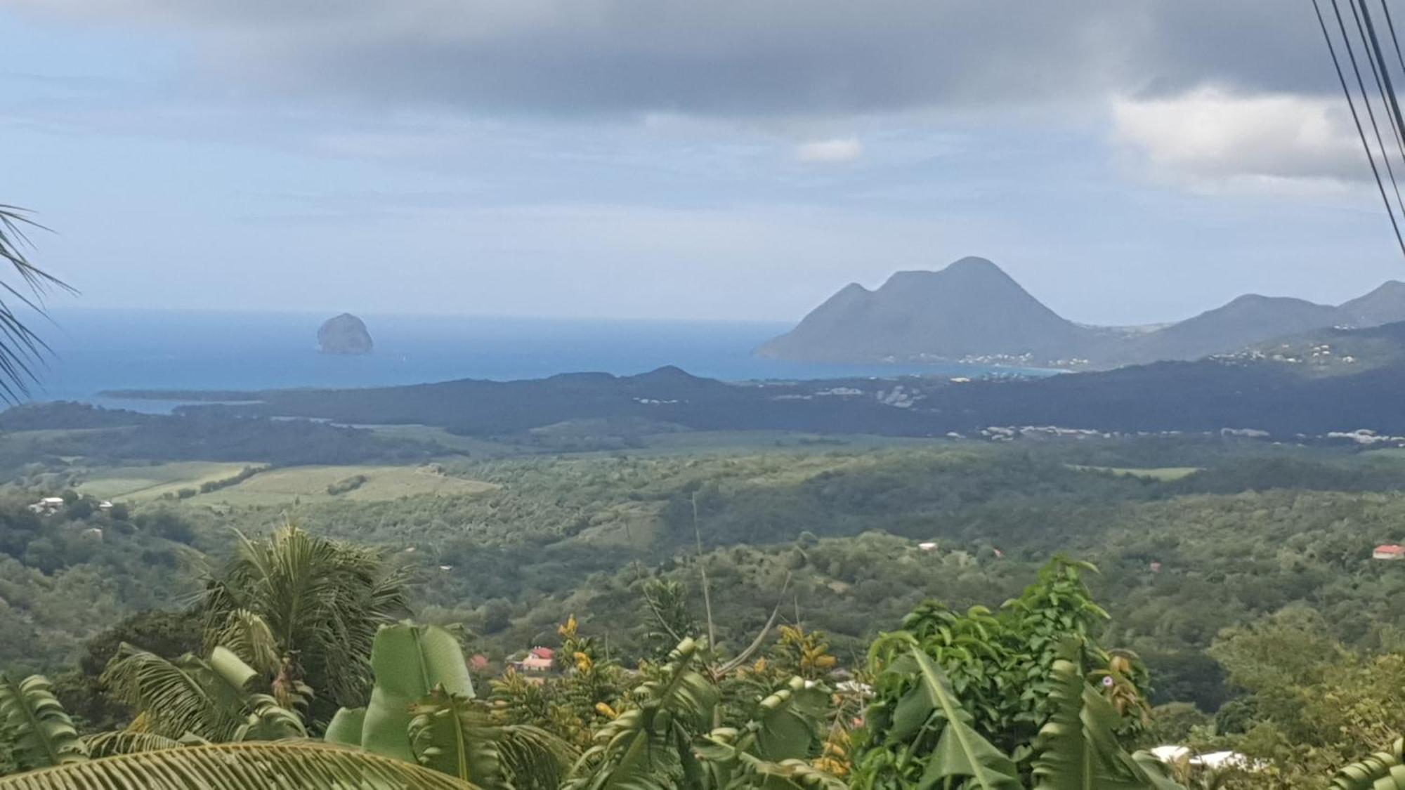 Villa Les Mahoganys Riviere-Salee Exteriör bild